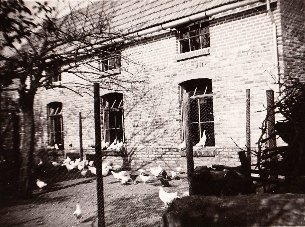 Den Dam 1