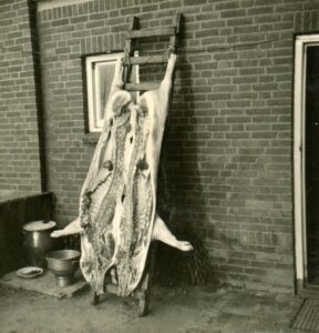 Huisseling.nl; Varkensslacht bij Wout Kocken.